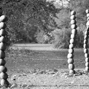 ANCESTRAL LINES, robinia wood, 2011