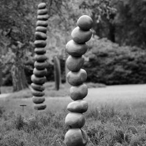 LINEE ANCESTRALI, robinia, 2012