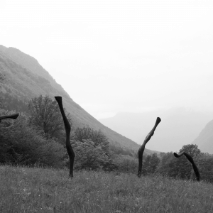 AKTIVA, robinia, patinata, H 220 cm, 2008