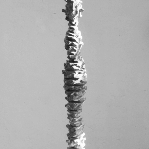 LA DONNA PAPPAGALLI, robinia patinato, A 70 cm, 2009