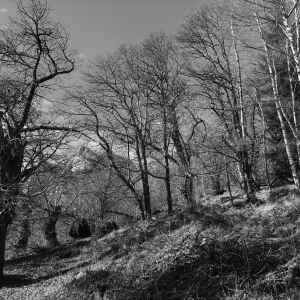 Atelier-Wald, Valle Onsernone