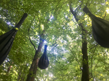 ART IN BOSCO